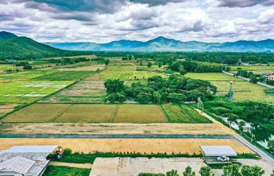 �ѹ��ᾧ �� onanong khumaphao