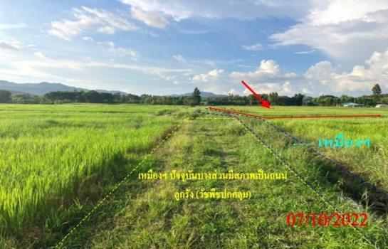 ���Թ�ӻҧ �� compos2566