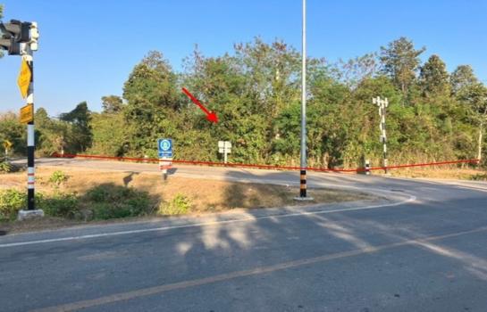 ��ҧ�ѵ� �� panaya.opalopal