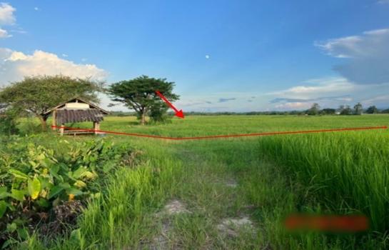 ���Թ�ӻҧ �� compos2566