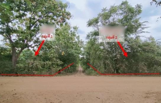 ���Թ�ӻҧ �� panaya.opalopal