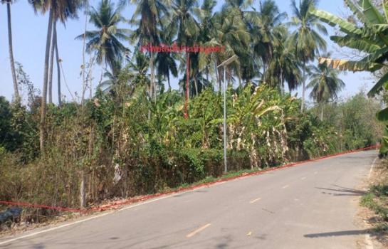 ������ �� compos2566