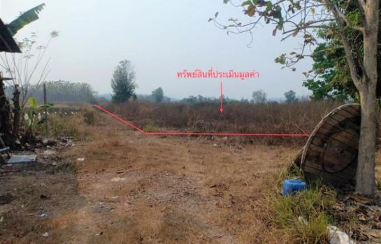 ������ �� compos2566