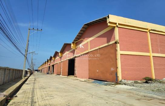 ������� �� Kong property