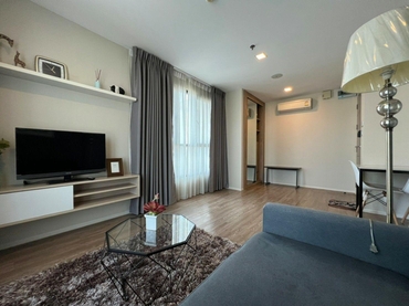 ��ѡ��� �� M Property