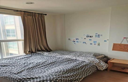 �ҧ���� �� M Property