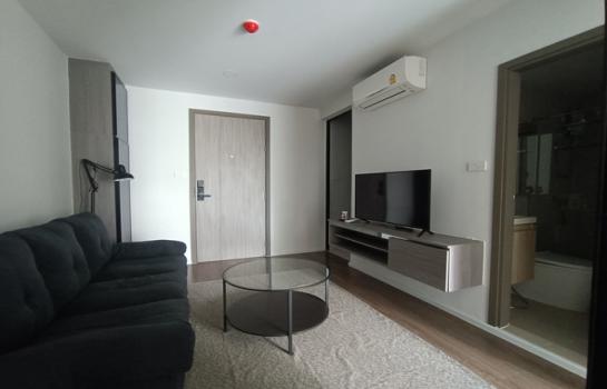 �Ҵ����� �� M Property