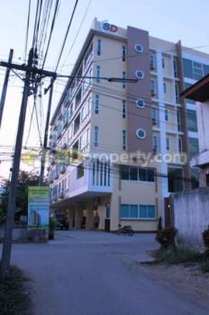 �Ң�ѭ �Ź�����