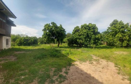 �Ӿٹ �� rattana27