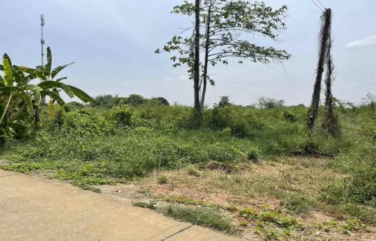 ��к��� �� rattana27