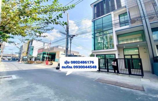 �س ��ѳ��