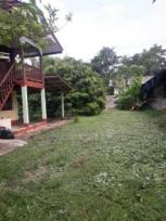 ��º�ҹ �Ҥһ�С�Ȣ�� 1,500,000 �ҷ