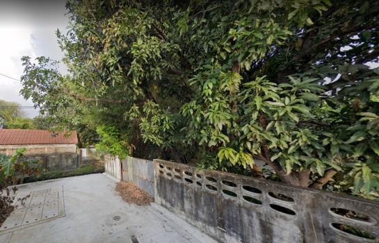 �Ҵ����� �� HarrisonTH