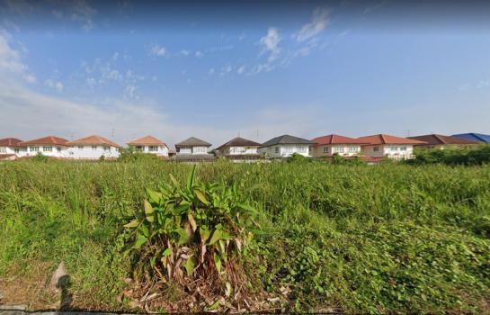 ����Ѳ�� �� HarrisonTH