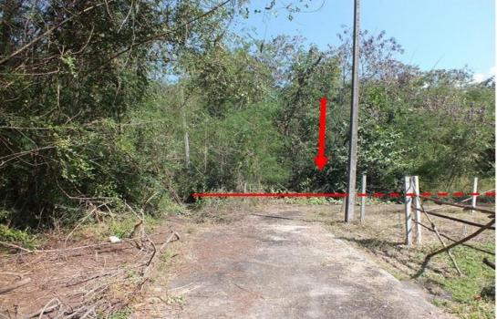 ����ӻҧ �� panaya.opalopal