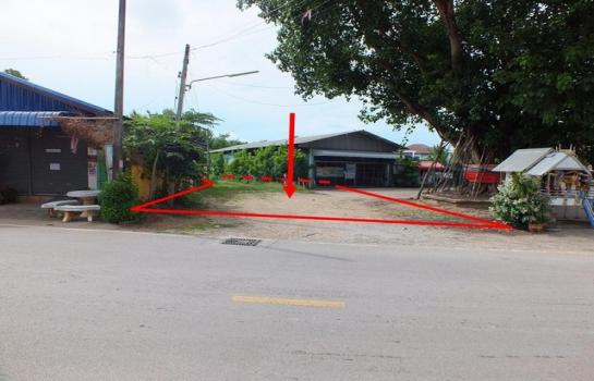 ����ӻҧ �� panaya.opalopal