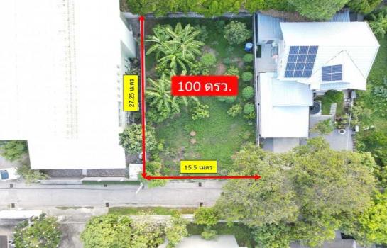 �س ��ѳ��