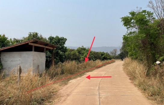 �Ѻ�� �� panaya.opalopal