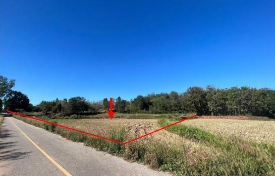 ��ӻҴ �� panaya.opalopal