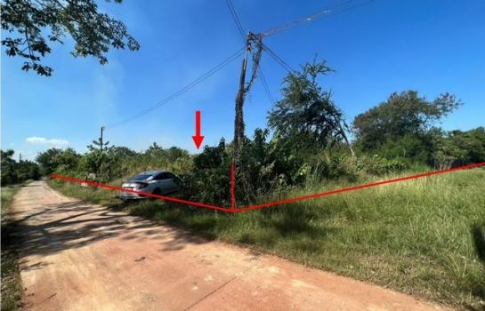 ��͹ �� panaya.opalopal