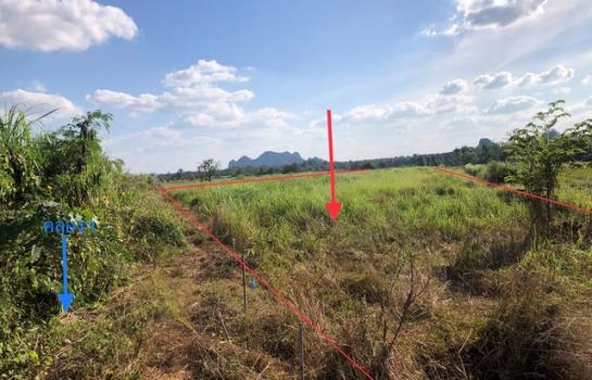 �����⢷�� �� panaya.opalopal