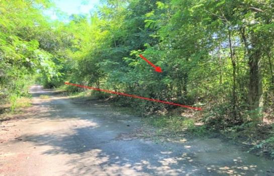 ���ͧ �Ӿٹ �� panaya.opalopal