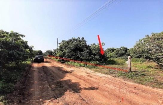 �Ӿٹ �� panaya.opalopal