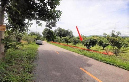 ����Ӿٹ �� compos2566