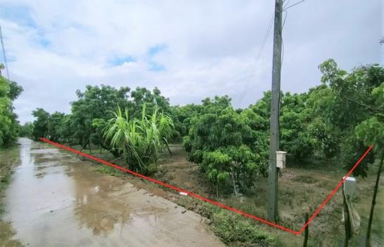 ����Ӿٹ �� compos2566