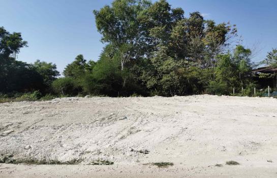 �شøҹ� �� rattana27