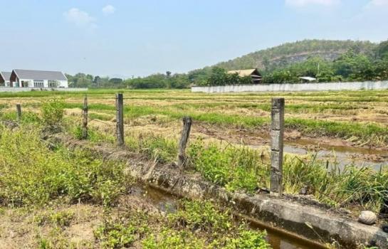 �ѹ��ᾧ �� northern1