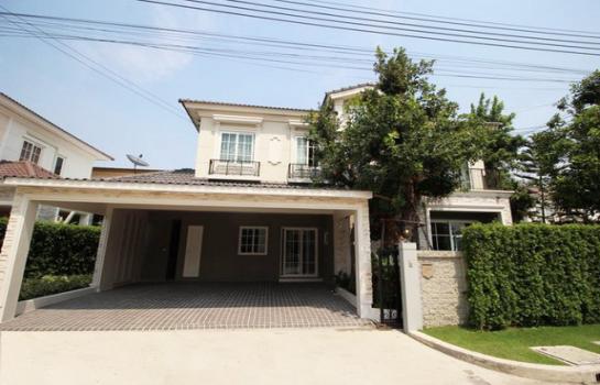 �֧���� �� Nuttapong