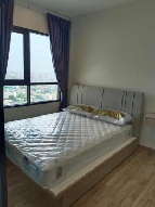 �����Ҥ͹������� �Ҥһ�С�������� 10,000 �ҷ/��͹