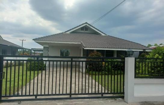 �ѹ���� �� �Ң�ѭ �Ź�����