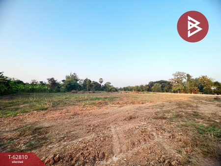 ��ɳ��š �� The Best Property Agent