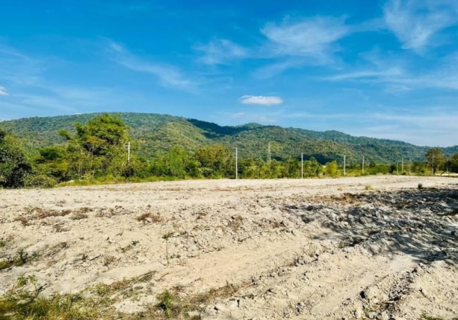 ���ͧ �� A House property