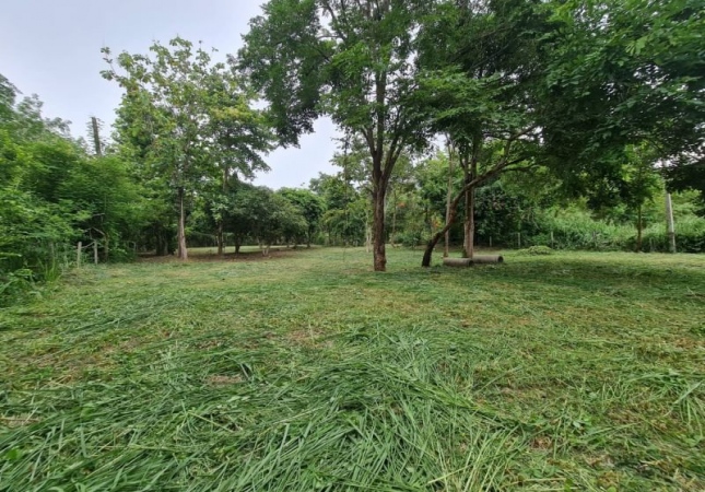 �ź��� �� A House property