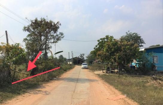 ��¡���Թ��� �� compos2566