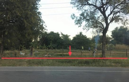 ��¡���Թ��� �� panaya.opalopal