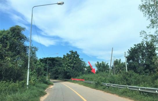 ��¡���Թ��� �� compos2566