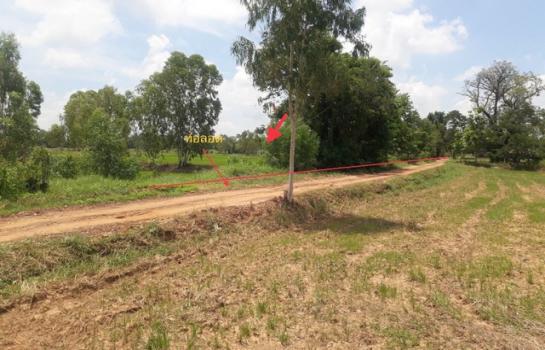 ��¡���Թ��� �� compos2566