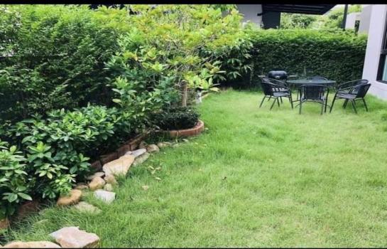 ��ҹ�ҧ��� �� coasset22