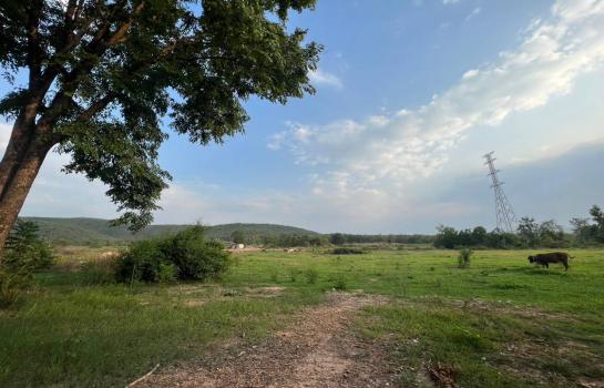 �Ӿٹ �� rattana27