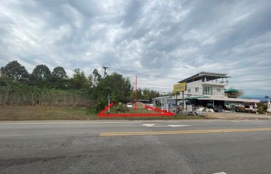 ��¡���Թ��� �� panaya.opalopal