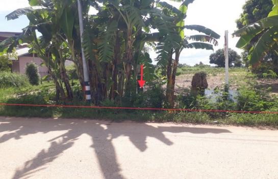 ��¡���Թ��� �� compos2566