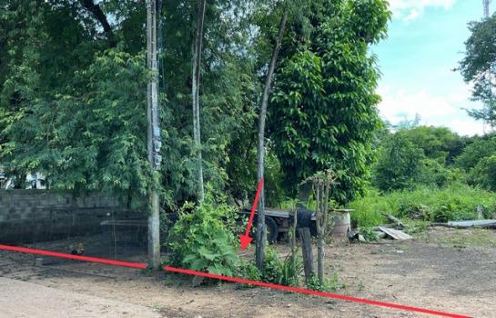 ��¡���Թ��� �� compos2566