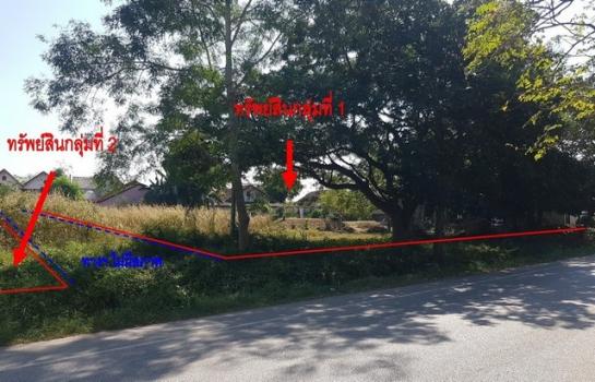 �صôԵ�� �� compos2566