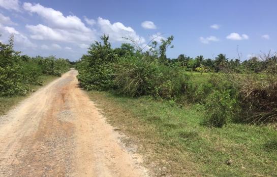 ������ �� zionasset1