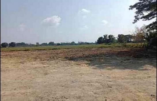 �ҧ�� �� northern1