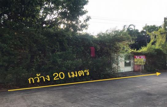 �ҧ�л� �� zionasset1